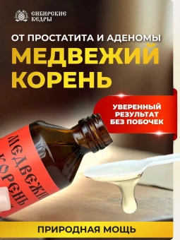 Медвежий корень