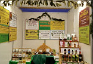 Новосибирск 